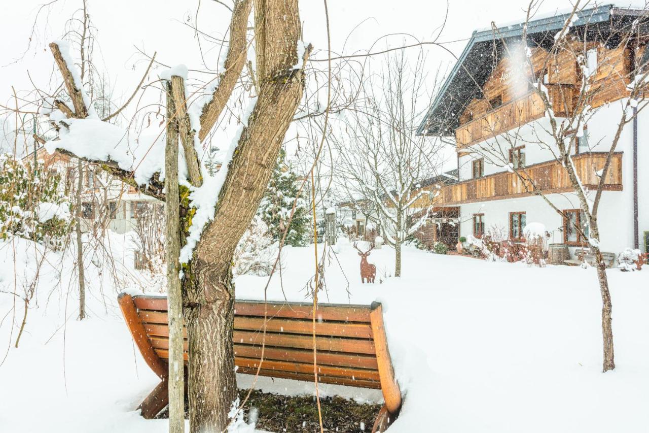Haus Alexandra Werfenweng Exterior foto